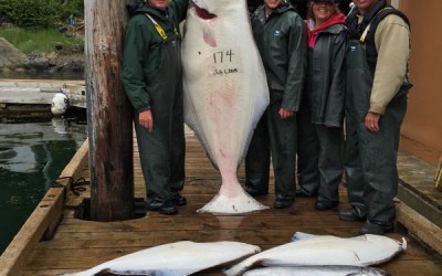 Gary 174 lb Halibut