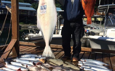 Vic 116 lb Halibut - WA